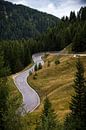 Kurvenreiche Straße in den Bergen von Wim Slootweg Miniaturansicht