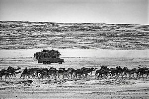 Niger. Sahara-Wüste. Salzkarawane mit Kamelen. Bus mit Menschen.
