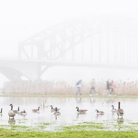 Le pont de l'IJssel dans le brouillard sur Jaap Meijer