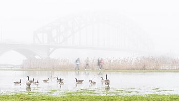 River IJssel bridge in the fog