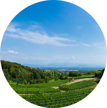 Duitsland, XXL panorama wijngaarden bij Kaiserstuhl van adventure-photos