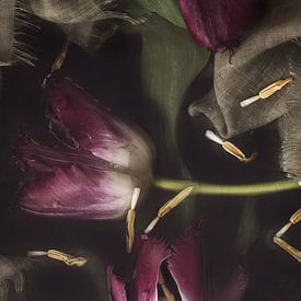 Stilleben lila Tulpen im Wasser von Leanne Verdonk