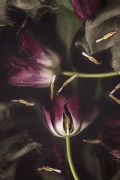 Nature morte tulipes violettes dans l'eau sur Leanne Verdonk