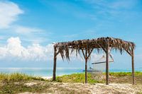 Ultimate vacation feelings on a tropical island