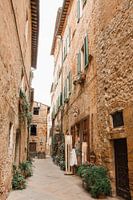 Straatje in Toscane met veel planten | fine art fotoprint
