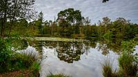 Spiegeling in het water