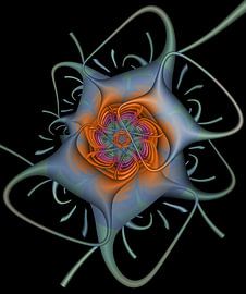 Flower curves von Bernardine de Laat