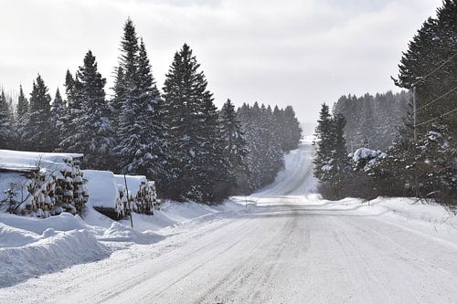 Een landweg in de winter