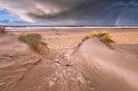 Sturm am Strand von Domburg von Sander Poppe Miniaturansicht