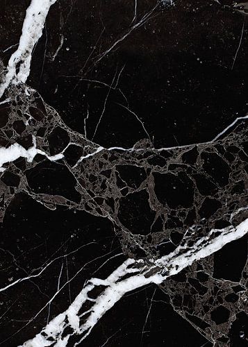 NETWORKED BLACK & WHITE v1