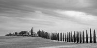 Poggio Covili, in Val d'Orcia, Toscane
