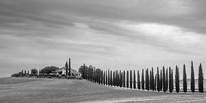 Poggio Covili, in Val d'Orcia, Toscane