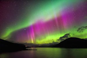Nordlichter, Aurora Borealis. Island