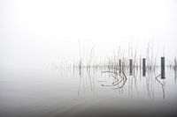 More Fog A