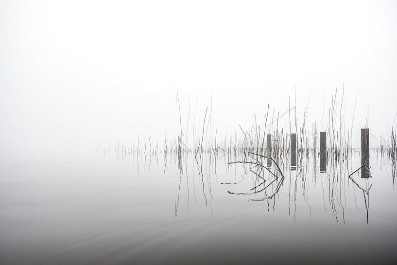 More Fog A by Frank Hensen