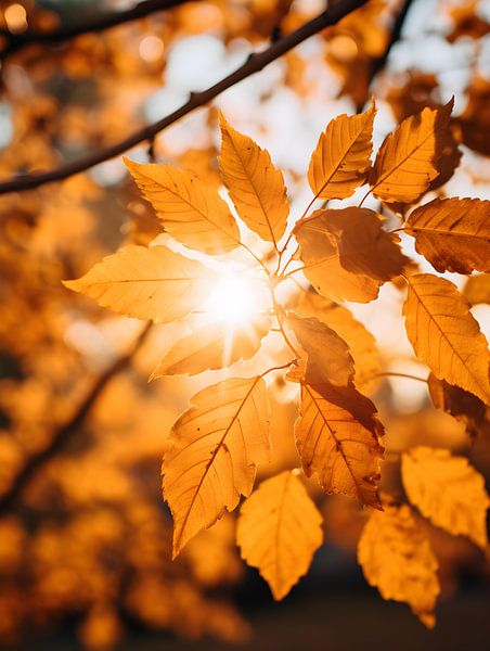 Herfstbladeren in zonlicht V3 van drdigitaldesign