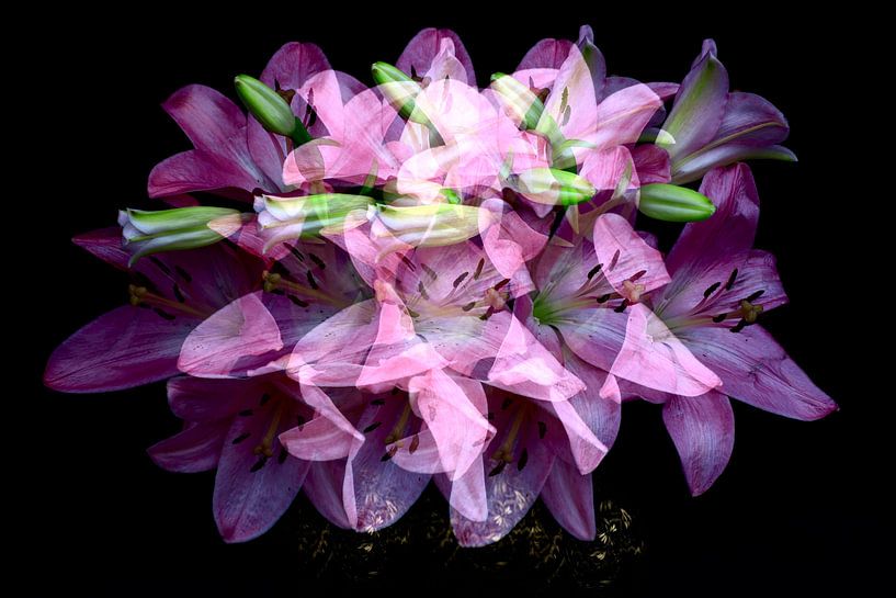 Lilienstillleben von Thomas Jäger