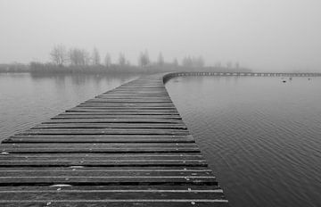 boardwalk in de mist