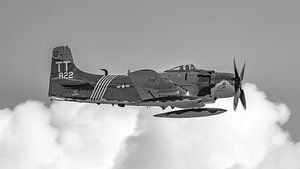 Oiseau de guerre Douglas A-1D Skyraider.