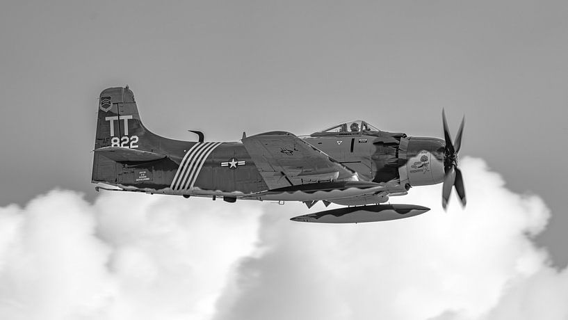 Douglas A-1D Skyraider warbird. by Jaap van den Berg