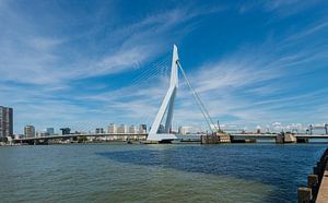 Die Erasmusbrücke in Rotterdam