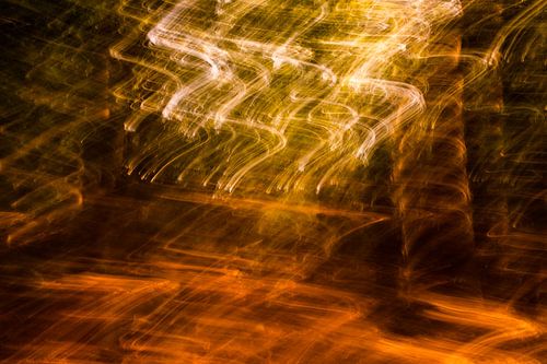 Forest painted with camera