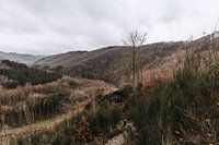 La Semois | dans les Ardennes flamandes