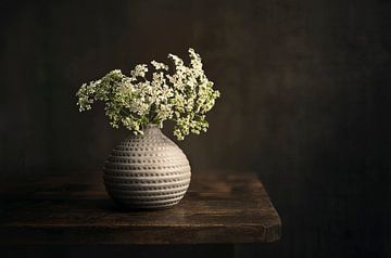 Modern stilleven fluitenkruid