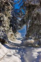 The way !