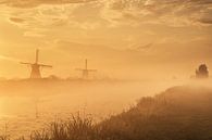 Foggy morning in Kinderdijk van Ilya Korzelius thumbnail