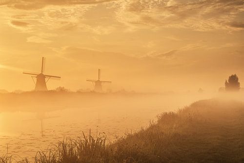 Foggy morning in Kinderdijk