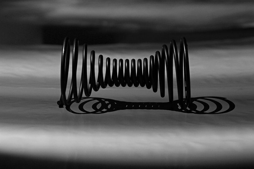 Resilienz und Reflexion in Schwarz-Weiß von Wim Bodewes