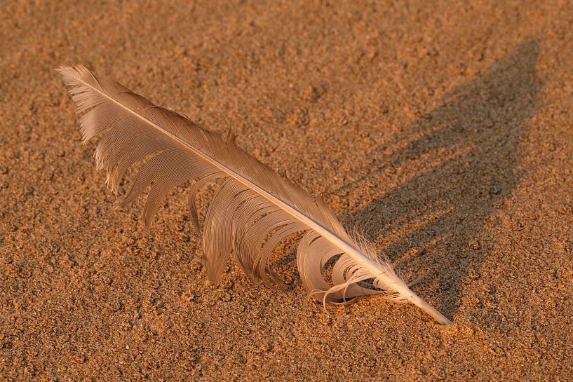 Fähre am Strand von Ronald Pol