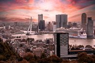 Rotterdam skyline van Steven Dijkshoorn thumbnail