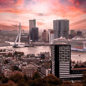 Skyline von Rotterdam von Steven Dijkshoorn