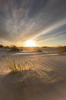 Coucher de soleil sur la plage de Zeeland