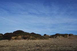 Zandduinen Balloërveld van Bernard van Zwol
