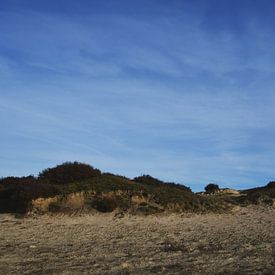 Sand dunes Balloërveld by Bernard van Zwol