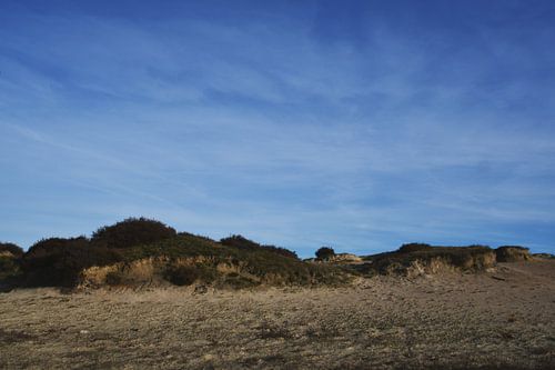 Zandduinen Balloërveld