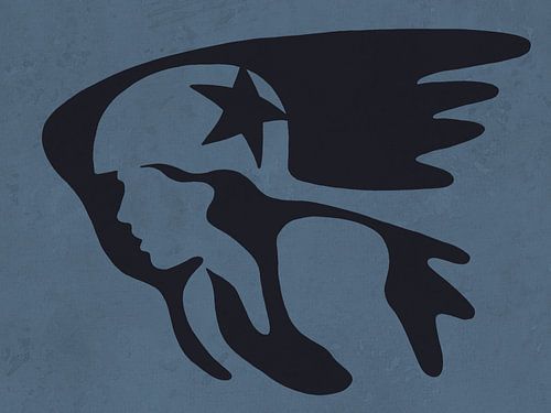 Roller Derby (blocker pivat jammer roller skating drawing star helmet teenage women's sports)