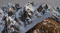 Cima Nove / Neunerköfele - Trentino-Alto Adige - Italië von Felina Photography Miniaturansicht