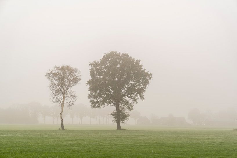 Neblige Landschaft von Lieke van Grinsven van Aarle