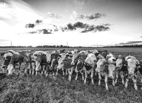 Helemaal niet nieuwsgierig hoor...