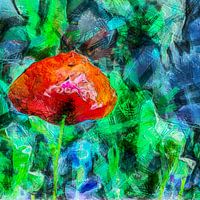 Mohn I