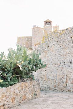 Pals | Mittelalterliches Dorf in Spanien | Kaktus mit alter Steinmauer von Milou van Ham