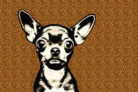 Böser Junge Chihuahua mit Leopardenfleck Hintergrund