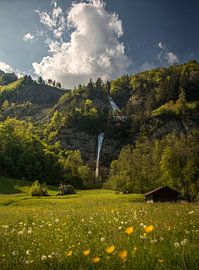 Wasserfall Dundelbach von Niels Tichelaar