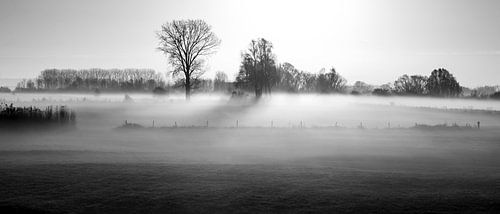 Foggy landscape Oud-Zevenaar by Alina van Lierop