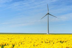 Éolienne sur une digue derrière des tulipes jaunes sur Sjoerd van der Wal Photographie