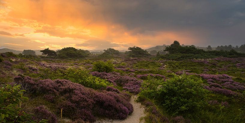 broad view by peterheinspictures